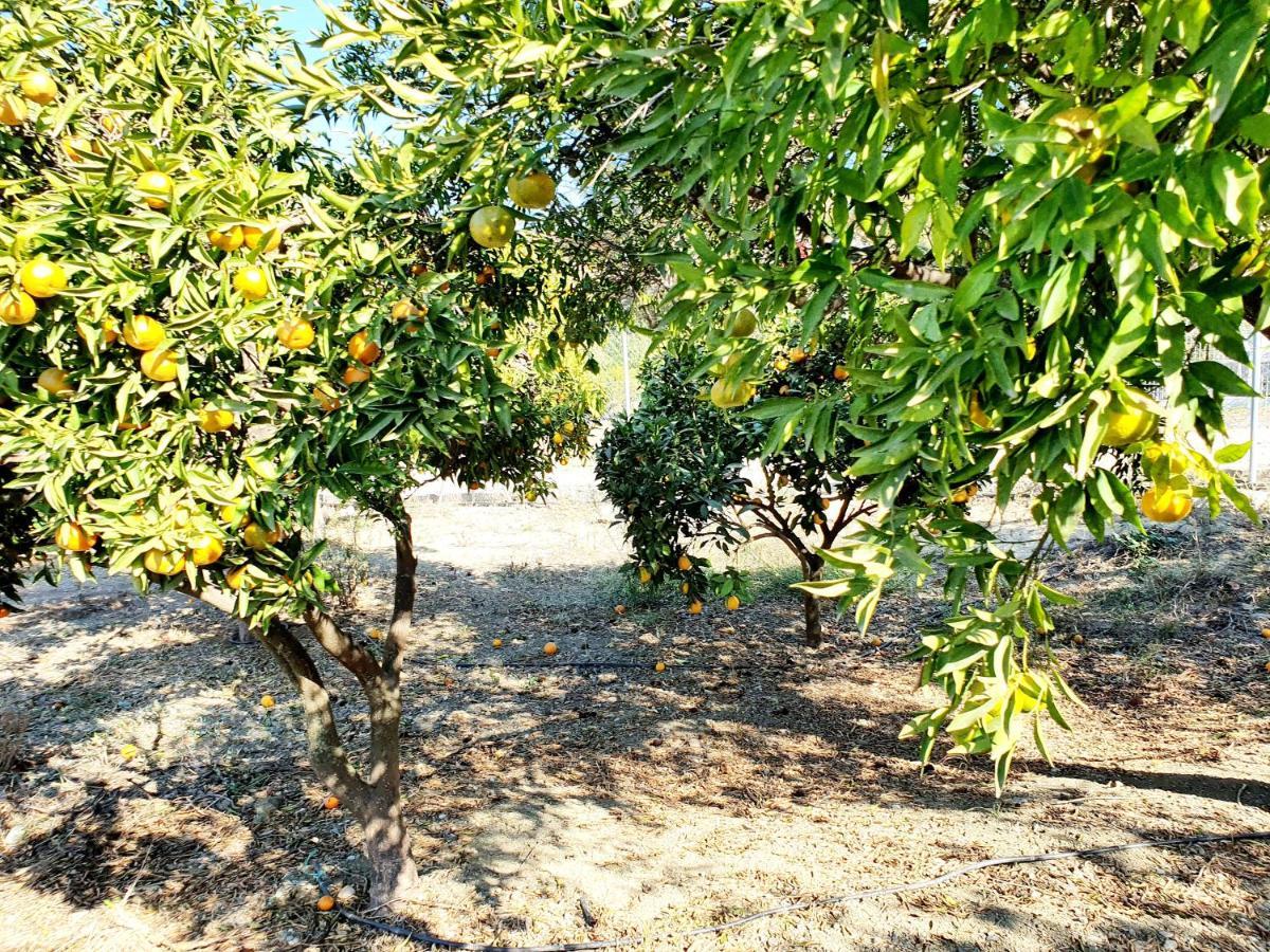 Casa Rural - Serrano House Málaga Eksteriør bilde